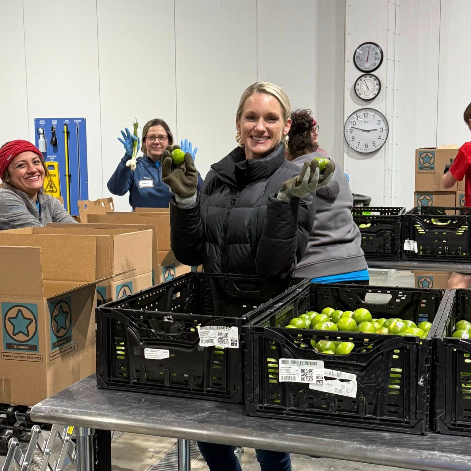 Typical activities carried out by A RANA CONSULTANCY LTD